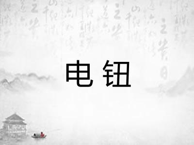 电钮