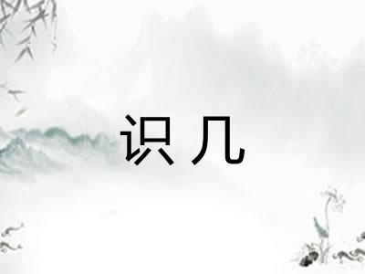 识几 识几