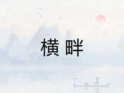 横畔 横畔