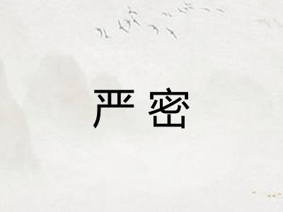 严密