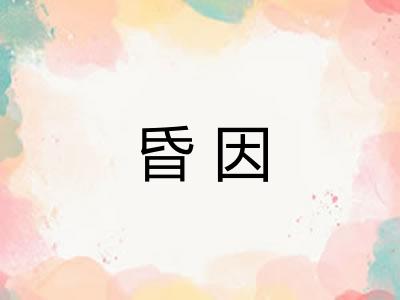 昏因 昏因