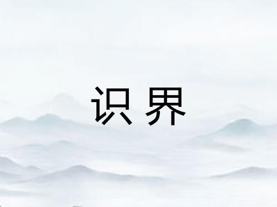 识界 识界