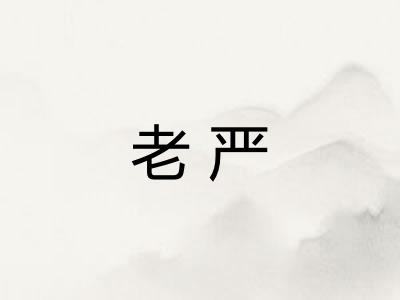 老严 老严