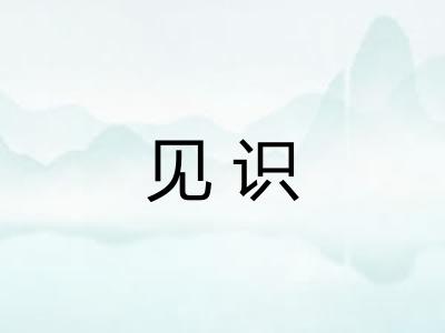 见识 见识