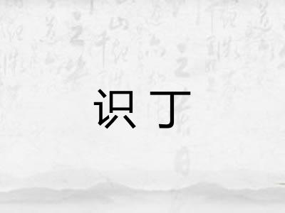 识丁 识丁