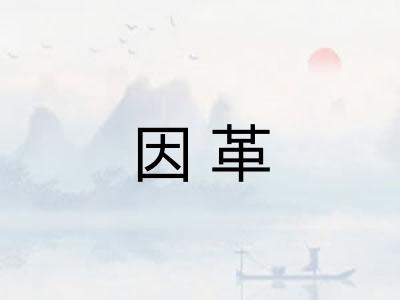因革 因革