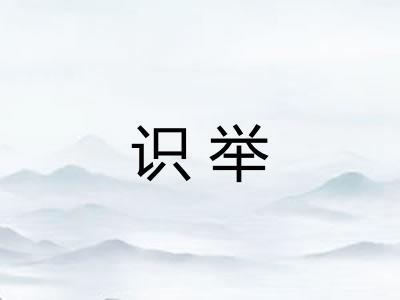 识举 识举