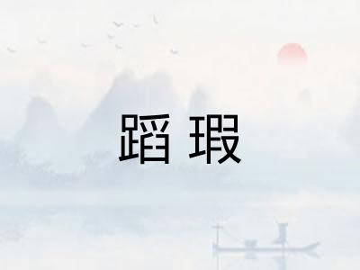 蹈瑕 蹈瑕