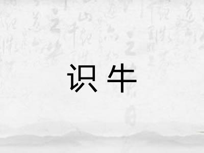 识牛