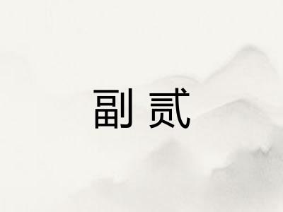 副贰 副贰