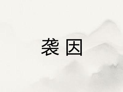 袭因