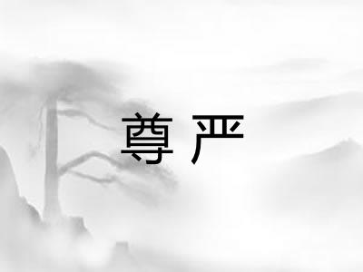 尊严 尊严