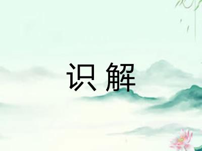 识解 识解