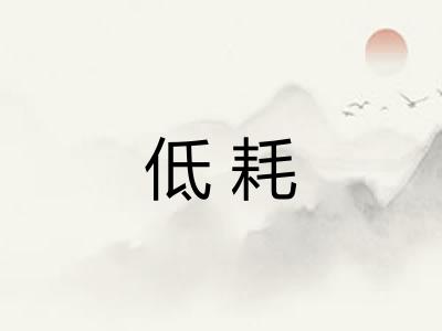 低耗 低耗