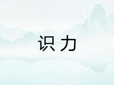 识力 识力
