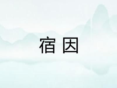 宿因 宿因