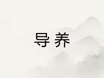 导养