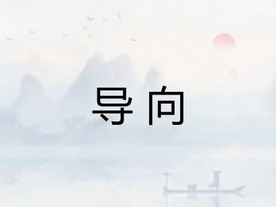 导向 导向