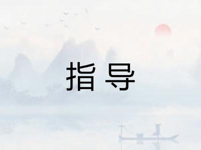 指导 指导