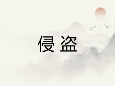 侵盗 侵盗