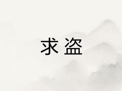 求盗 求盗