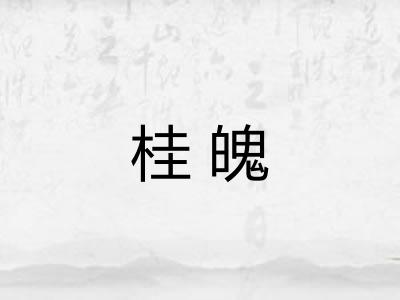桂魄 桂魄