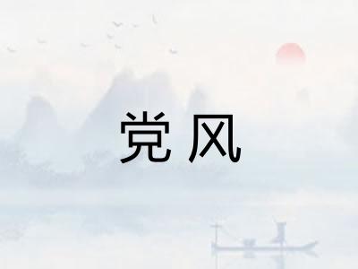 党风