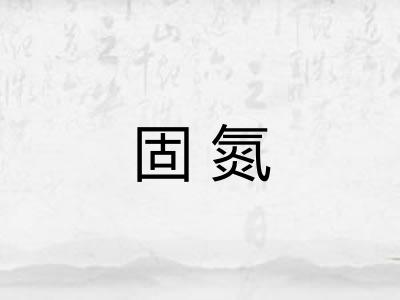 固氮 固氮