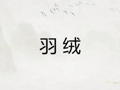 羽绒