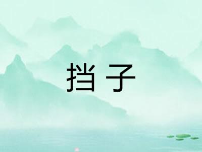 挡子 挡子
