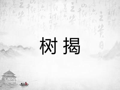 树揭 树揭