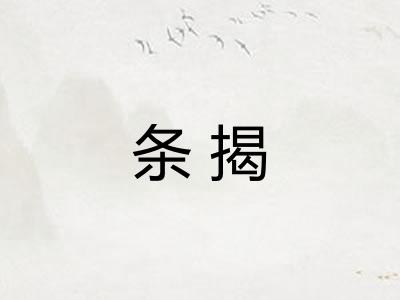 条揭 条揭