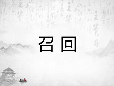 召回 召回
