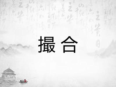 撮合 撮合