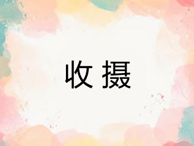 收摄 收摄