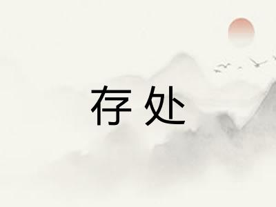存处