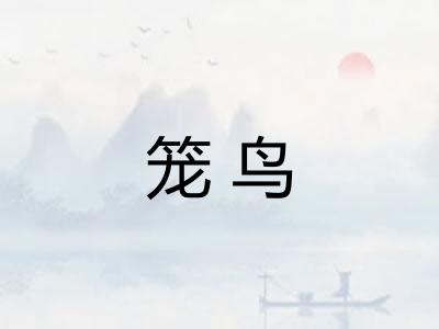 笼鸟 笼鸟