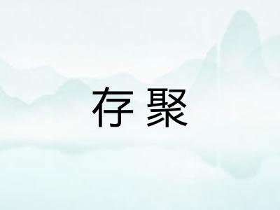 存聚