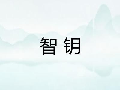 智钥 智钥