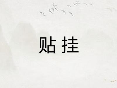 贴挂 贴挂