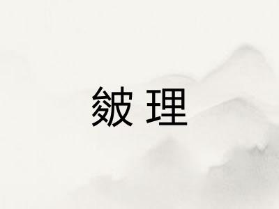 皴理 皴理