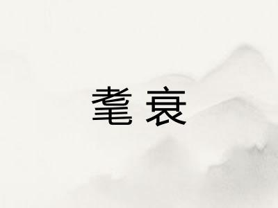 耄衰