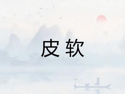 皮软 皮软