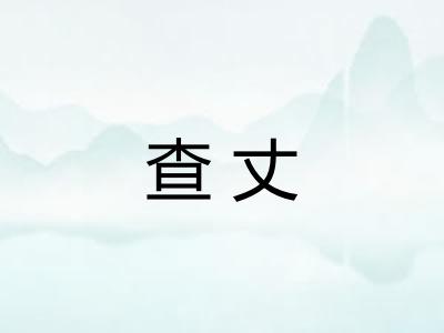 查丈 查丈