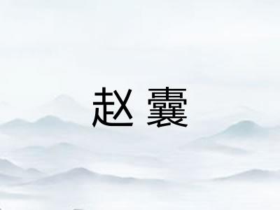 赵囊 赵囊