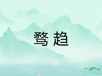 骛趋 骛趋