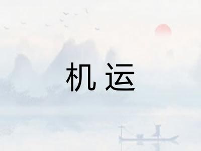 机运