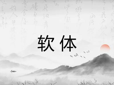 软体 软体