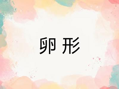 卵形 卵形