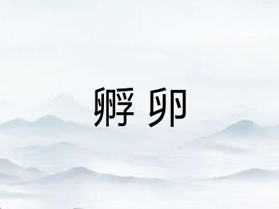 孵卵 孵卵